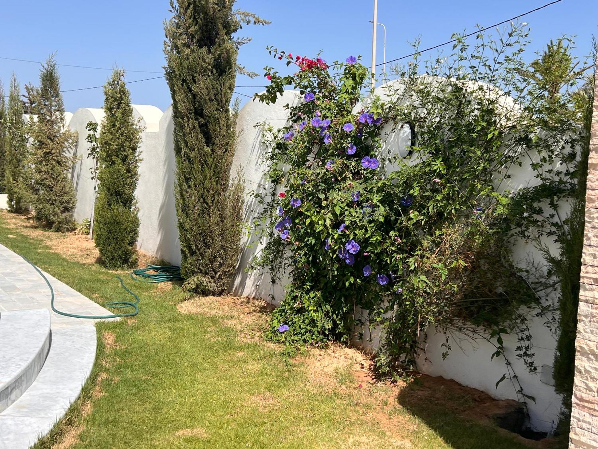 Villalina Haut Standing Djerba Ajim Extérieur photo